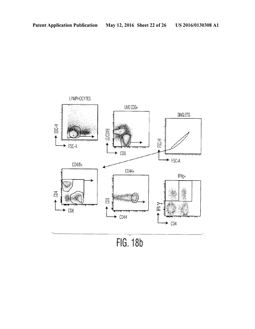 Nucleic Acid Molecules Encoding Novel Herpes Antigens, Vaccine Comprising     The Same, And Methods Of Use Thereof - diagram, schematic, and image 23