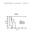 IL-12 Immunotherapy for Cancer diagram and image