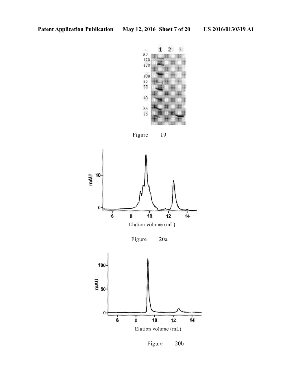 HIGH-STABILITY T-CELL RECEPTOR AND PREPARATION METHOD AND APPLICATION     THEREOF - diagram, schematic, and image 08