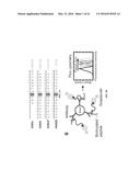 COMPOSITIONS AND METHODS RELATED TO RECOMBINANT ANTIBODIES TO HISTONE     POSTTRANSLATIONAL MODIFICATIONS diagram and image