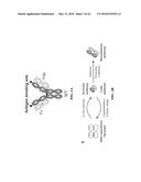 COMPOSITIONS AND METHODS RELATED TO RECOMBINANT ANTIBODIES TO HISTONE     POSTTRANSLATIONAL MODIFICATIONS diagram and image