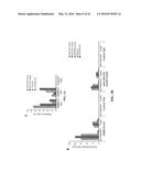 COMPOSITIONS AND METHODS RELATED TO RECOMBINANT ANTIBODIES TO HISTONE     POSTTRANSLATIONAL MODIFICATIONS diagram and image