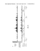 COMPOSITIONS AND METHODS RELATED TO RECOMBINANT ANTIBODIES TO HISTONE     POSTTRANSLATIONAL MODIFICATIONS diagram and image