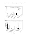 COMPOSITIONS AND METHODS RELATED TO RECOMBINANT ANTIBODIES TO HISTONE     POSTTRANSLATIONAL MODIFICATIONS diagram and image