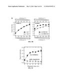 COMPOSITIONS AND METHODS RELATED TO RECOMBINANT ANTIBODIES TO HISTONE     POSTTRANSLATIONAL MODIFICATIONS diagram and image