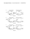 COMPOSITIONS AND METHODS RELATED TO RECOMBINANT ANTIBODIES TO HISTONE     POSTTRANSLATIONAL MODIFICATIONS diagram and image