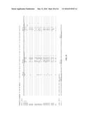 COMPOSITIONS AND METHODS RELATED TO RECOMBINANT ANTIBODIES TO HISTONE     POSTTRANSLATIONAL MODIFICATIONS diagram and image