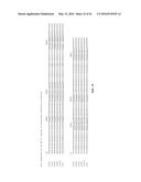 COMPOSITIONS AND METHODS RELATED TO RECOMBINANT ANTIBODIES TO HISTONE     POSTTRANSLATIONAL MODIFICATIONS diagram and image