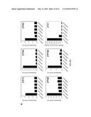 COMPOSITIONS AND METHODS RELATED TO RECOMBINANT ANTIBODIES TO HISTONE     POSTTRANSLATIONAL MODIFICATIONS diagram and image