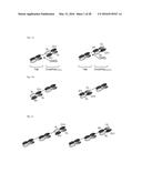 Fc-free antibodies comprising two Fab-fragments and methods of use diagram and image