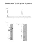 Fc-free antibodies comprising two Fab-fragments and methods of use diagram and image