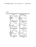 RHAMM, A CO-RECEPTOR AND ITS INTERACTIONS WITH OTHER RECEPTORS IN CANCER     CELL MOTILITY AND THE IDENTIFICATION OF CANCER PROGNITOR CELL POPULATIONS diagram and image