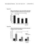 RHAMM, A CO-RECEPTOR AND ITS INTERACTIONS WITH OTHER RECEPTORS IN CANCER     CELL MOTILITY AND THE IDENTIFICATION OF CANCER PROGNITOR CELL POPULATIONS diagram and image