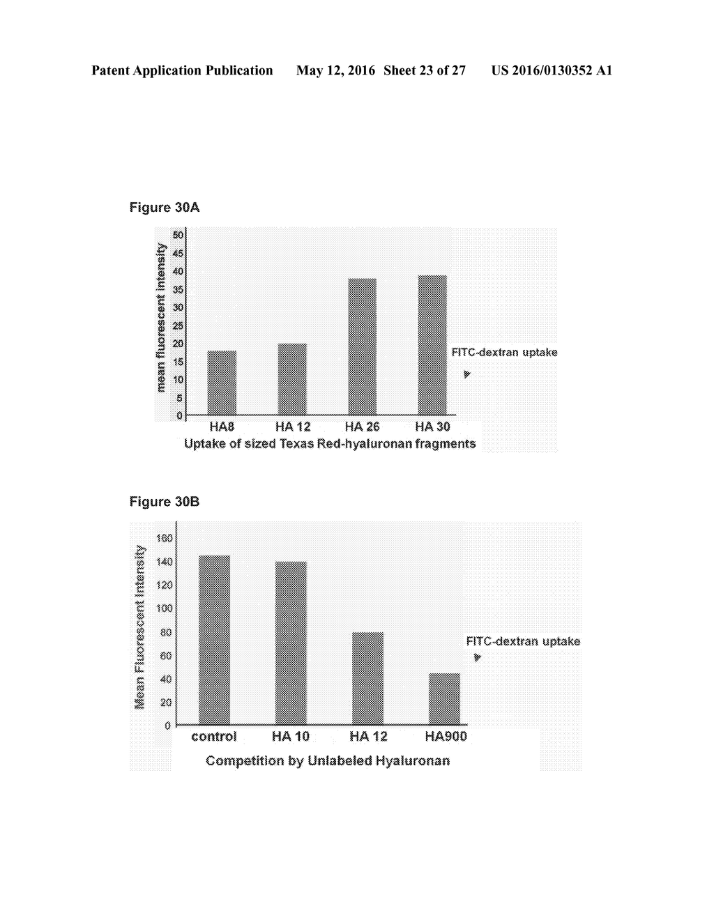 RHAMM, A CO-RECEPTOR AND ITS INTERACTIONS WITH OTHER RECEPTORS IN CANCER     CELL MOTILITY AND THE IDENTIFICATION OF CANCER PROGNITOR CELL POPULATIONS - diagram, schematic, and image 24