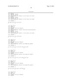 RHAMM, A CO-RECEPTOR AND ITS INTERACTIONS WITH OTHER RECEPTORS IN CANCER     CELL MOTILITY AND THE IDENTIFICATION OF CANCER PROGNITOR CELL POPULATIONS diagram and image