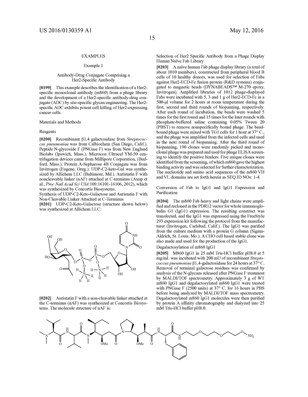 HER2-SPECIFIC MONOCLONAL ANTIBODIES AND CONJUGATES THEREOF - diagram, schematic, and image 25