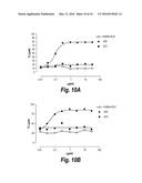 ANTIBODIES AGAINST CD38 FOR TREATMENT OF MULTIPLE MYELOMA diagram and image