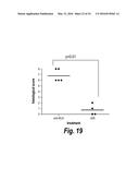 ANTIBODIES AGAINST CD38 FOR TREATMENT OF MULTIPLE MYELOMA diagram and image