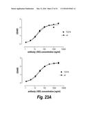 ANTIBODIES AGAINST CD38 FOR TREATMENT OF MULTIPLE MYELOMA diagram and image