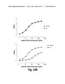 ANTIBODIES AGAINST CD38 FOR TREATMENT OF MULTIPLE MYELOMA diagram and image