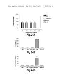 ANTIBODIES AGAINST CD38 FOR TREATMENT OF MULTIPLE MYELOMA diagram and image