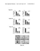 Methods and compositions for prognosis, diagnosis, and treatment of     ADAM8-expressing cancer diagram and image