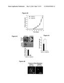 Methods and compositions for prognosis, diagnosis, and treatment of     ADAM8-expressing cancer diagram and image