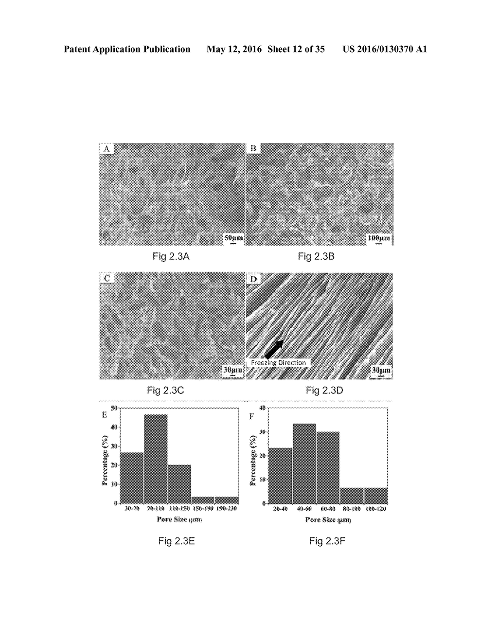 COMPOSITIONS AND STRUCTURES INCLUDING NONAGGREGATED STABILIZED CHARGED     POLYSACCHARIDE NANOFIBERS, METHODS OF MAKING NONAGGREGATED STABILIZED     CHARGED POLYSACCHARIDE NANOFIBERS, AND METHOD OF MAKING STRUCTURES - diagram, schematic, and image 13