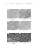 COMPOSITIONS AND STRUCTURES INCLUDING NONAGGREGATED STABILIZED CHARGED     POLYSACCHARIDE NANOFIBERS, METHODS OF MAKING NONAGGREGATED STABILIZED     CHARGED POLYSACCHARIDE NANOFIBERS, AND METHOD OF MAKING STRUCTURES diagram and image