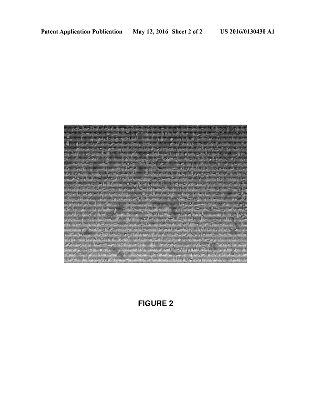 POLYSTYRENE AND POLYLACTIC ACID BLENDS - diagram, schematic, and image 03