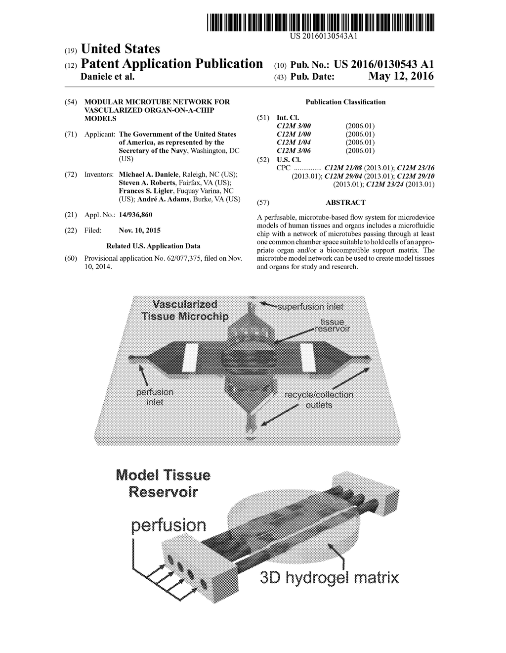 Modular Microtube Network for Vascularized Organ-On-A-Chip Models - diagram, schematic, and image 01