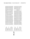 Alpha-Amylase from Bacillaceae Family Member diagram and image