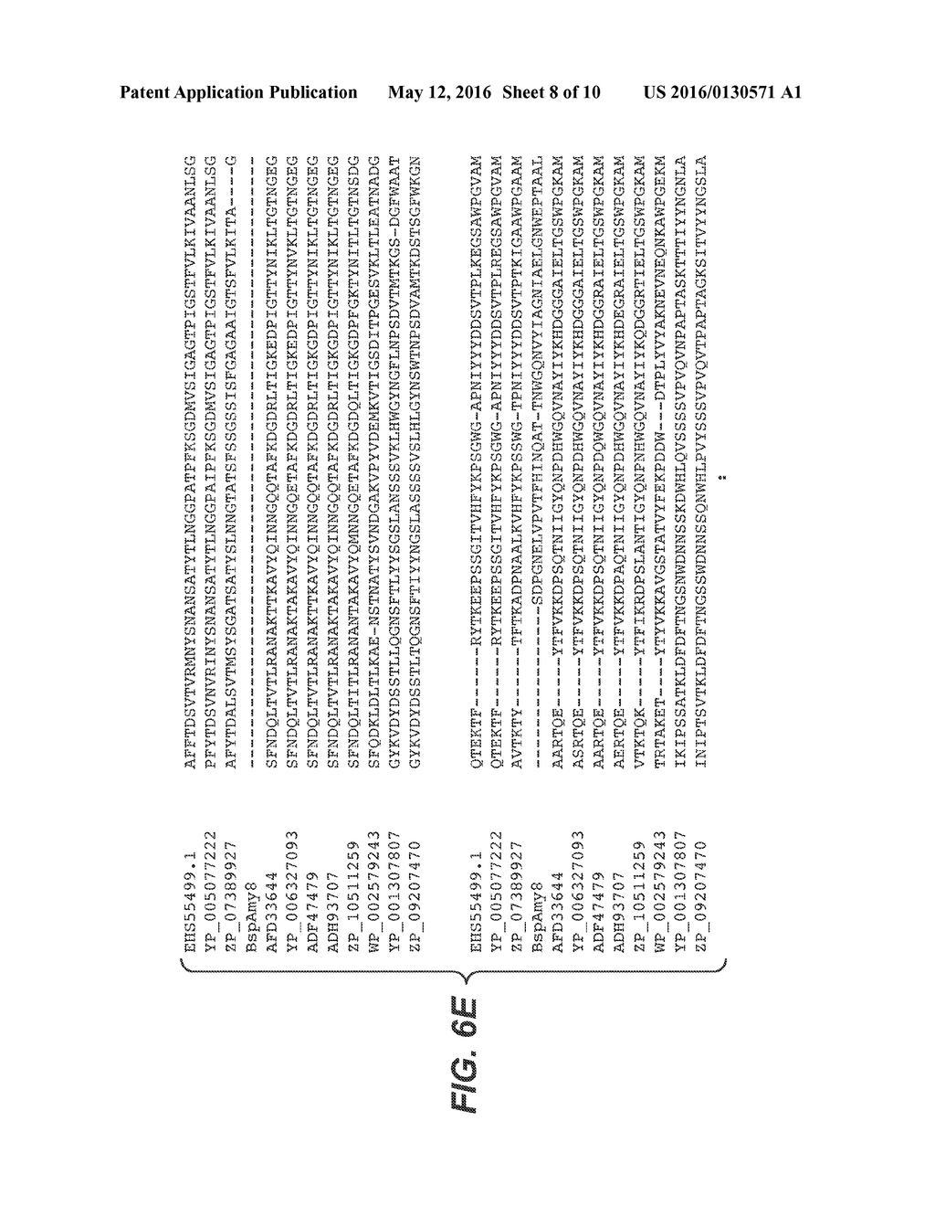 Alpha-Amylase from Bacillaceae Family Member - diagram, schematic, and image 09