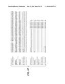 Alpha-Amylase from Bacillaceae Family Member diagram and image