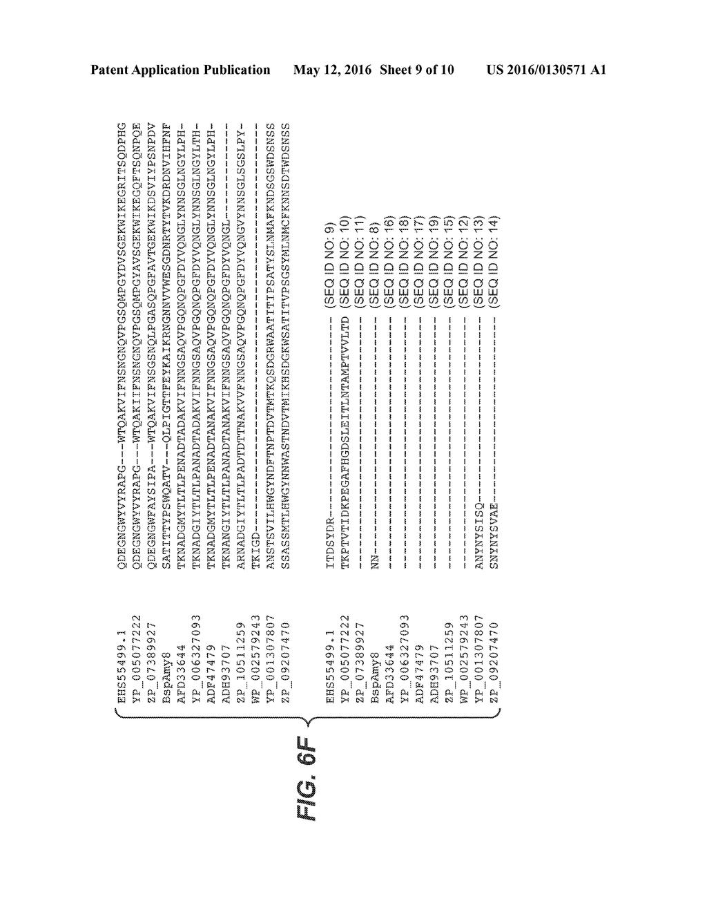 Alpha-Amylase from Bacillaceae Family Member - diagram, schematic, and image 10