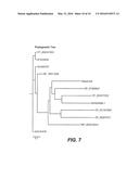 Alpha-Amylase from Bacillaceae Family Member diagram and image