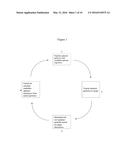 SCREENING OF NUCLEIC ACID AGENTS VIA PARTICLE DISPLAY diagram and image