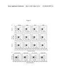 SCREENING OF NUCLEIC ACID AGENTS VIA PARTICLE DISPLAY diagram and image