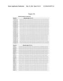 SCREENING OF NUCLEIC ACID AGENTS VIA PARTICLE DISPLAY diagram and image