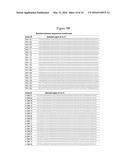 SCREENING OF NUCLEIC ACID AGENTS VIA PARTICLE DISPLAY diagram and image