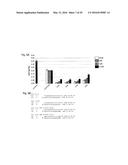 INTERFERING RNA MOLECULES diagram and image