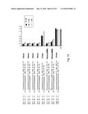 INTERFERING RNA MOLECULES diagram and image