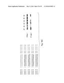 INTERFERING RNA MOLECULES diagram and image