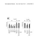 INTERFERING RNA MOLECULES diagram and image