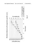 METHOD OF PRODUCING LEAFY BIOMASS diagram and image