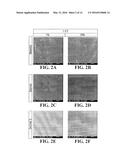 FREEZE-DRIED POLYELECTROLYTE COMPLEXES THAT MAINTAIN SIZE AND BIOLOGICAL     ACTIVITY diagram and image