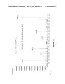 METHODS OF PRODUCING OMEGA-HYDROXYLATED FATTY ACID DERIVATIVES diagram and image