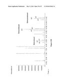 METHODS OF PRODUCING OMEGA-HYDROXYLATED FATTY ACID DERIVATIVES diagram and image