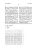 METHODS OF PRODUCING OMEGA-HYDROXYLATED FATTY ACID DERIVATIVES diagram and image