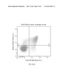 DUAL LABELING METHODS FOR MEASURING CELLULAR PROLIFERATION diagram and image